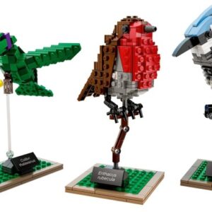 LEGO Ideas Birds (21301)